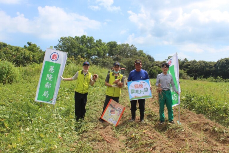 圖片說明：i郵購力挺小農金山地瓜嘗鮮購。（圖：基隆郵局提供）