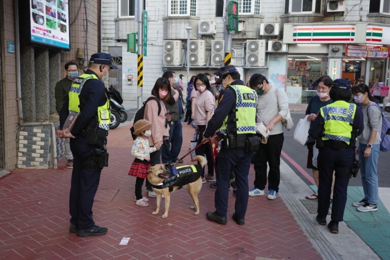 三峽警犬平安現身老街。（記者徐煜勝翻攝）