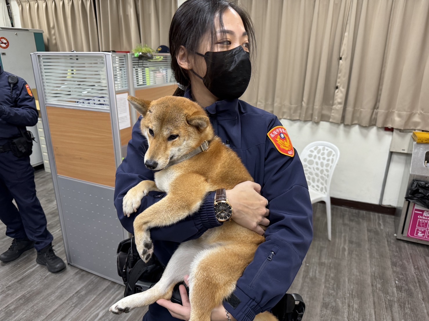 警方先將迷路的柴犬「金金」安置於所內。（記者薛秀蓮翻攝)