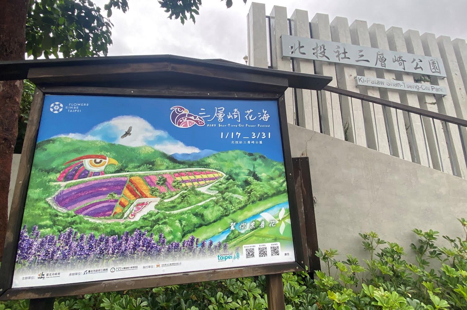 北投社三層崎公園打造一片奇幻花毯，美不勝收，成為網紅打卡熱點。（記者薛秀蓮翻攝)