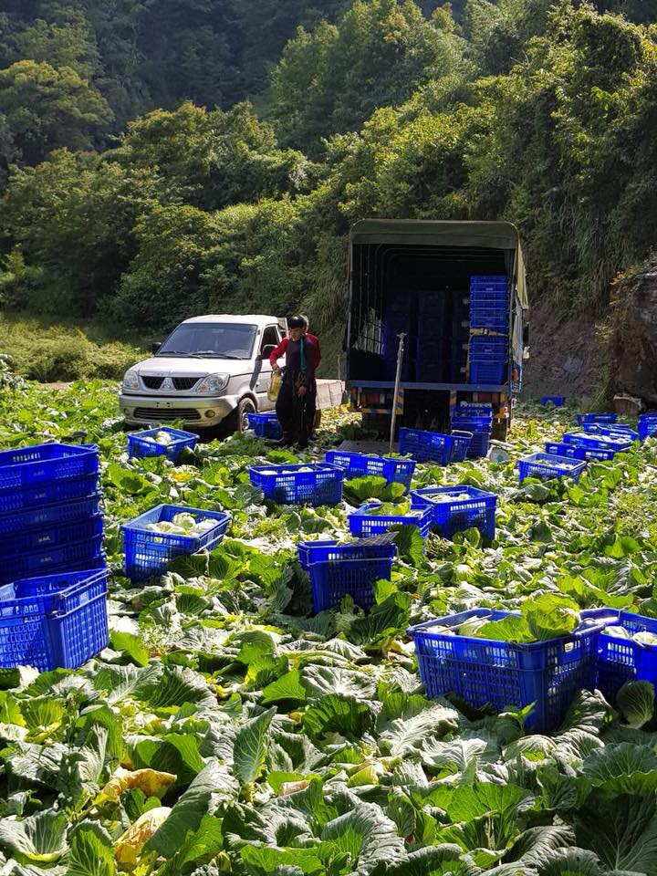 小川鍋物的食材挑選，是從台灣各地小農手中精心栽種、養育而來的，實現與小農之間的長期合作與信任。(圖/小川鍋物提供)