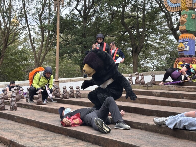 工作人員扮演台灣黑熊脫逃模擬考驗應變能力，園區動員30人啟動誘捕計畫，成功安全處置，化解危機。（圖/記者林照東翻攝）