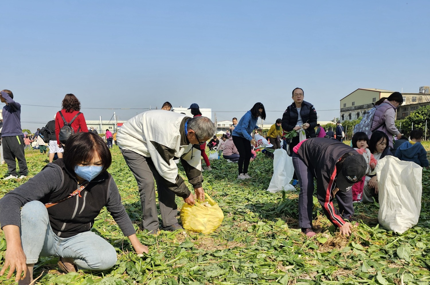 迎新年好彩頭、拔蘿蔔助公益活動人潮熱滾滾。（圖/記者葉子綱攝）