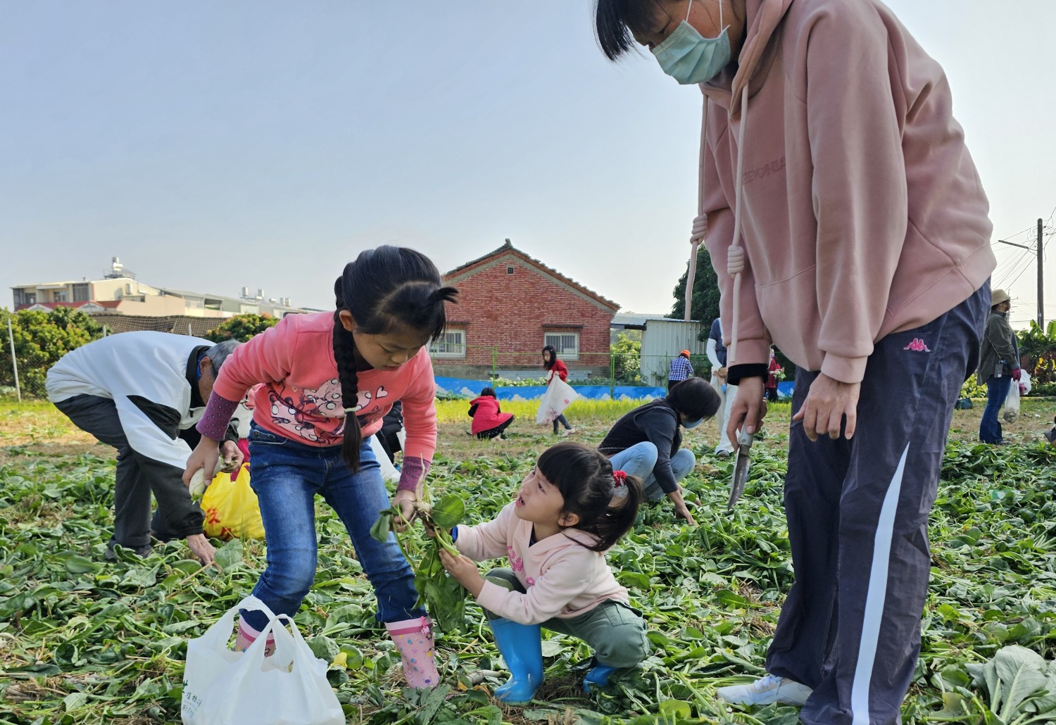 迎新年好彩頭、拔蘿蔔助公益活動大人小孩拔得不亦樂乎。（圖/記者葉子綱攝）