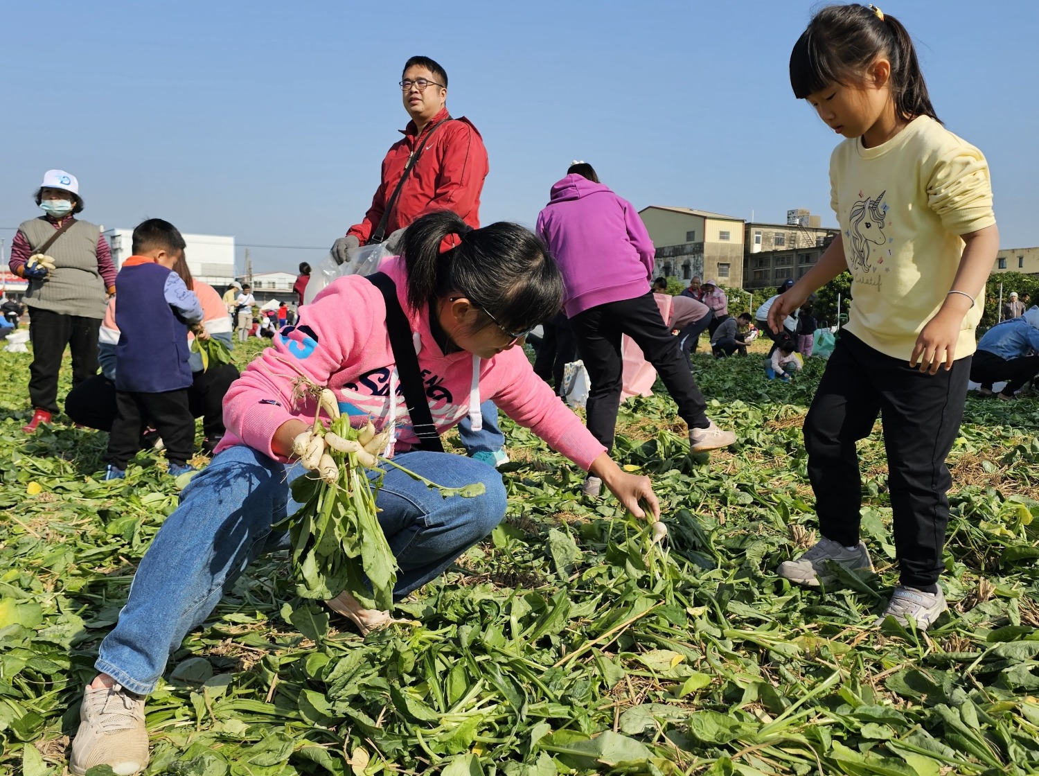 迎新年好彩頭、拔蘿蔔助公益活動大人小孩拔得不亦樂乎。（圖/記者葉子綱攝）