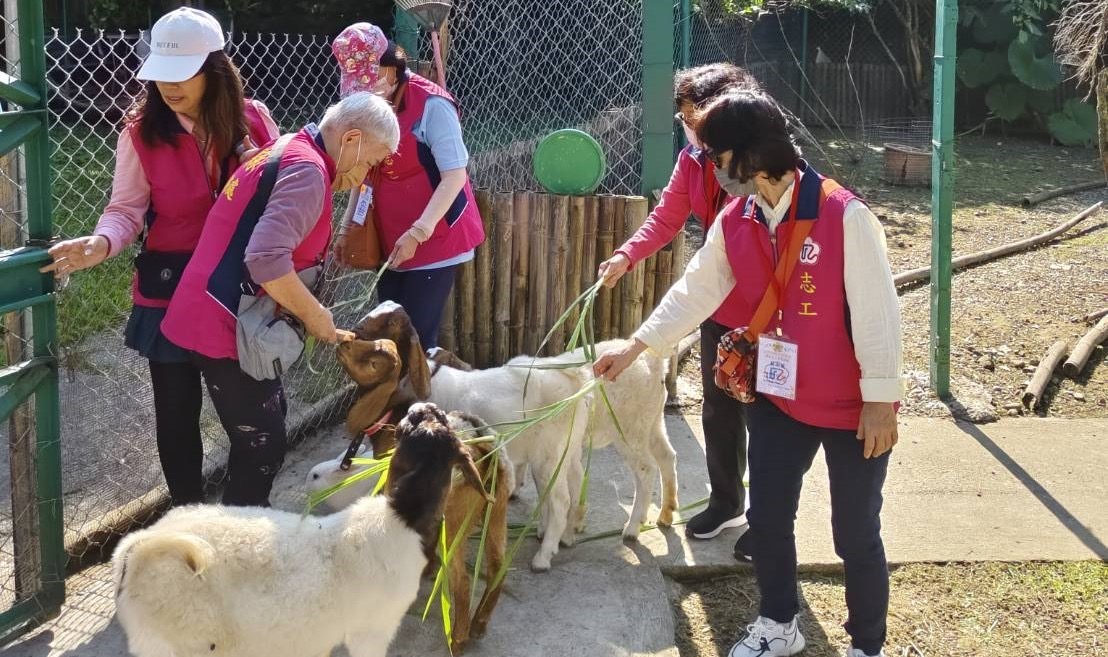 志工參觀白河榮家動物區，體驗餵羊樂趣。（記者 張艷君翻攝）