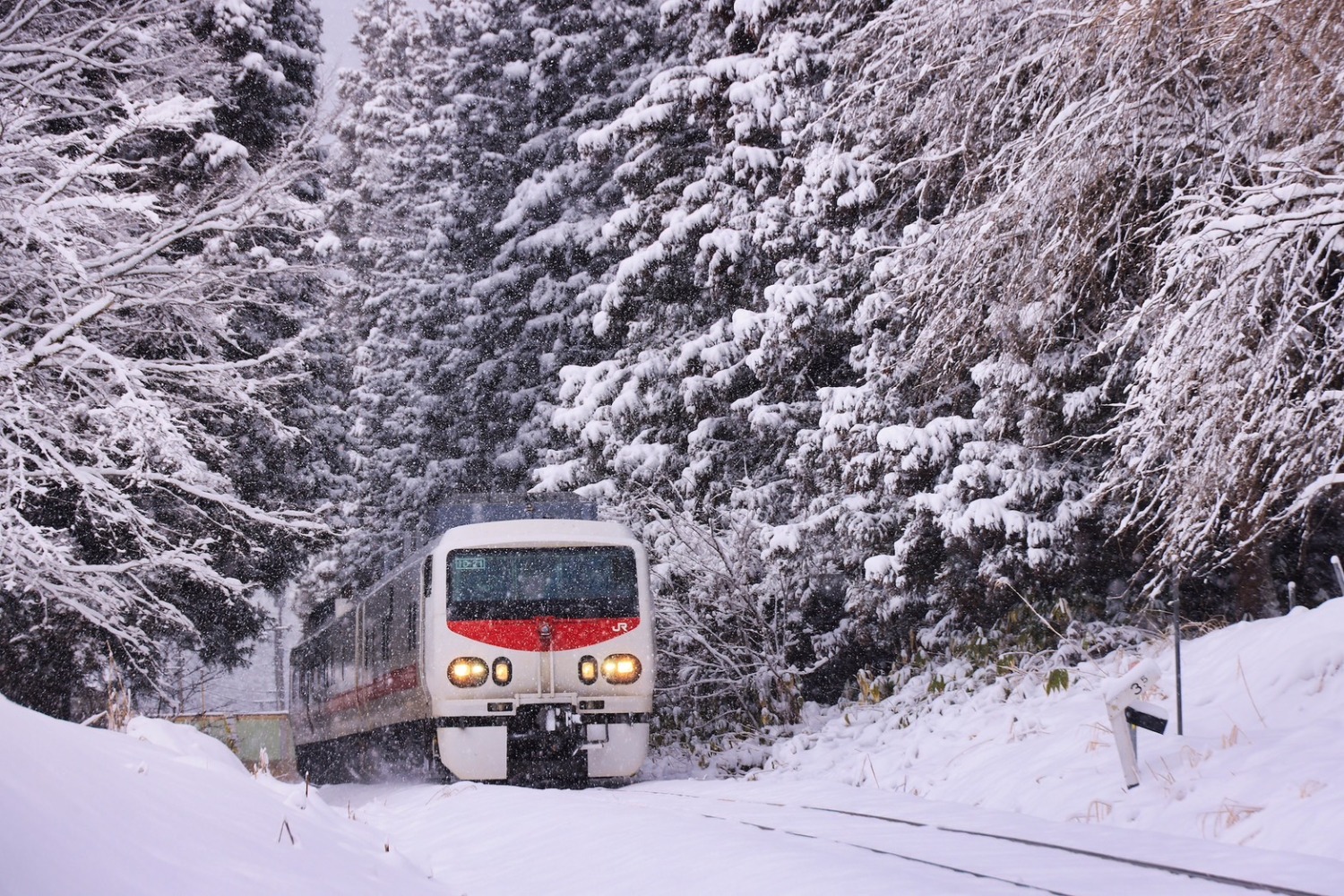 冬季只見線全線沿途拍攝，無論是近景或遠景都能拍出夢幻氛圍。(圖/主辦單位提供)