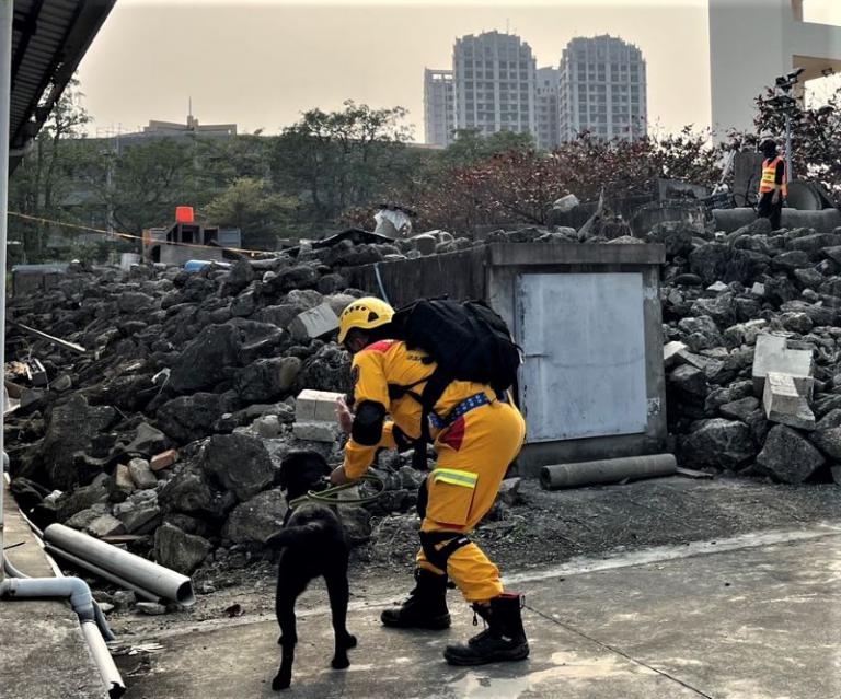 搜救量能再精進！　竹市搜救犬赴高雄市參加IRO評量 再獲認證肯定