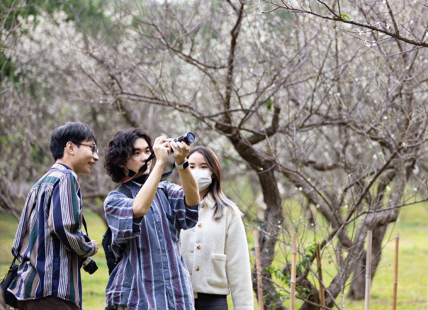 遠近馳名的清華梅園，常年吸引大批遊客賞梅朝聖。（圖/記者黃溎芬翻攝）