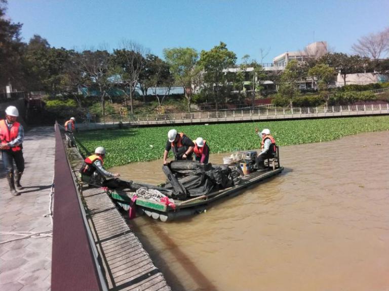 持續清理新竹市青草湖湖面布袋蓮